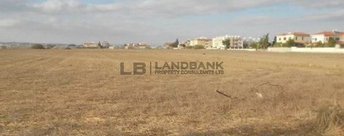 Residential field in Pervolia Village, Larnaca