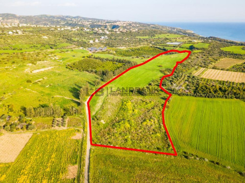 Residential field in Kouklia, Paphos