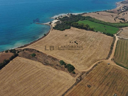 Three  Beachfront Touristic Fields in Mazotos, Larnaca